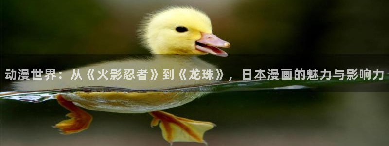 动漫天堂官网：动漫世界：从《火影忍者》到《龙珠》，日本漫画的魅力与影响力
