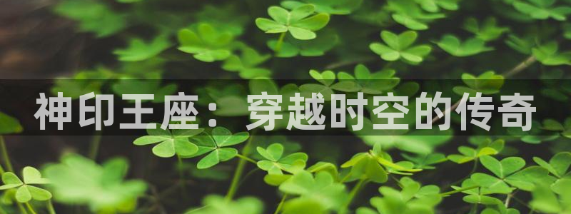 动漫天堂最新排行：神印王座：穿越时空的传奇