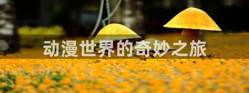 动漫天堂历史动漫：动漫世界的奇妙之旅
