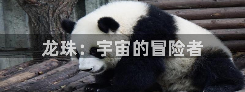 动漫天堂剧场版：龙珠：宇宙的冒险者