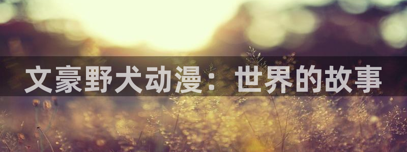 动漫天堂高分动漫推荐：文豪野犬动漫：世界的故事