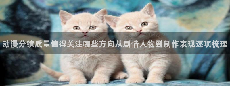 动漫天堂精选推荐：动漫分镜质量值得关注哪些方向从剧情人物到制作表现逐项梳理