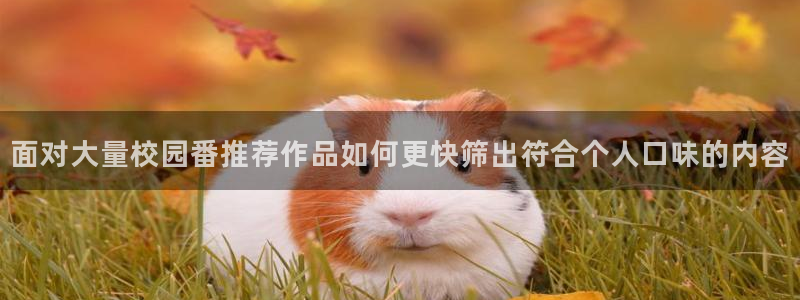 动漫天堂动作动漫：面对大量校园番推荐作品如何更快筛出符合个人口味的内容
