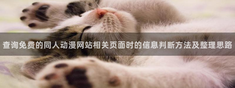动漫天堂完整版在线观看：查询免费的同人动漫网站相关页面时的信息判断方法及整理思路