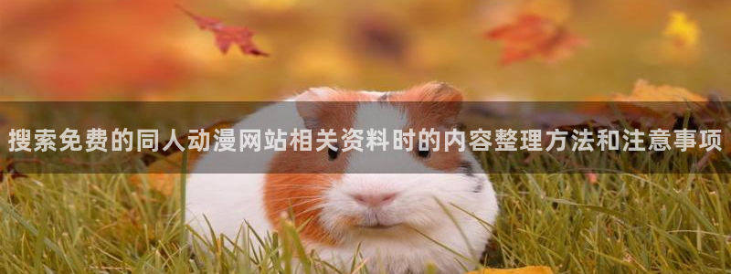 动漫天堂连载动漫大全