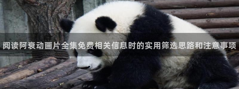 动漫天堂校园动漫