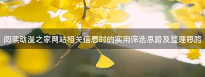动漫天堂动漫：阅读动漫之家网站相关信息时的实用筛选思路及整理思路