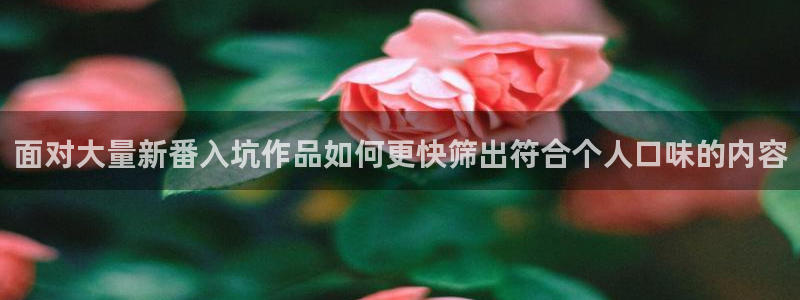 动漫天堂在线观看动漫免费