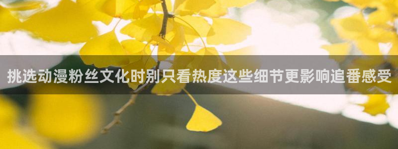 动漫天堂经典完结动漫