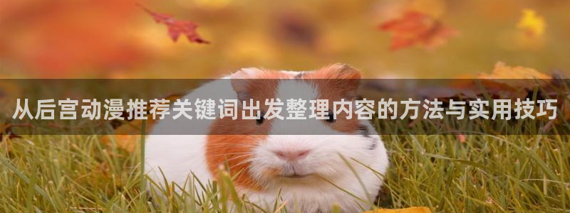 动漫天堂手机动漫免费观看：从后宫动漫推荐关键词出发整理内容的方法与实用技巧
