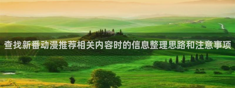 动漫天堂最新排行
