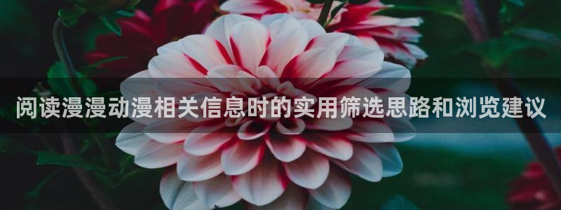 动漫天堂连载排行榜