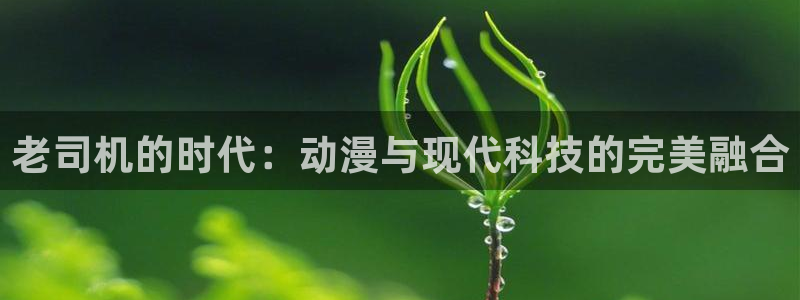 动漫天堂精品作品